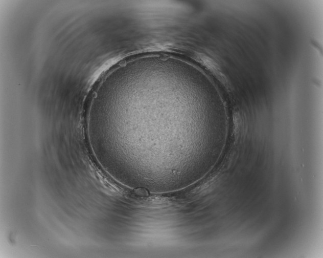 X0000101161308200807071148