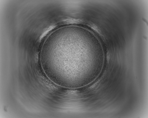 X0000101161309200807071148