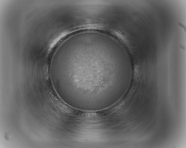 X0000101161310200807071148