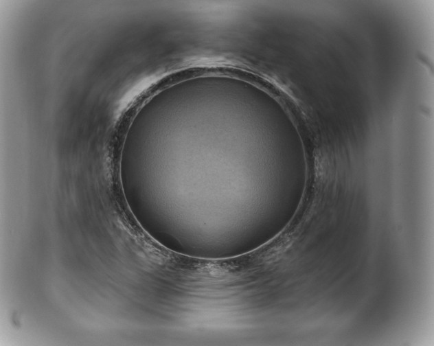 X0000101161311200807071148