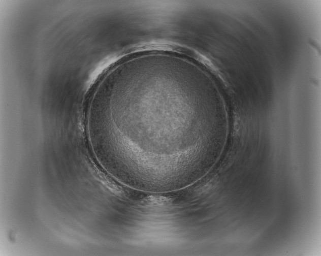 X0000101161312200807071148