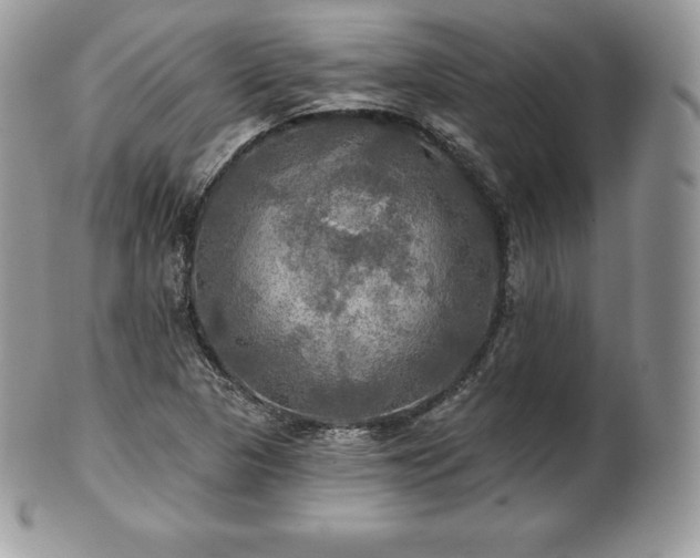 X0000101161313200807071148