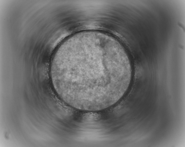 X0000101161314200807071148