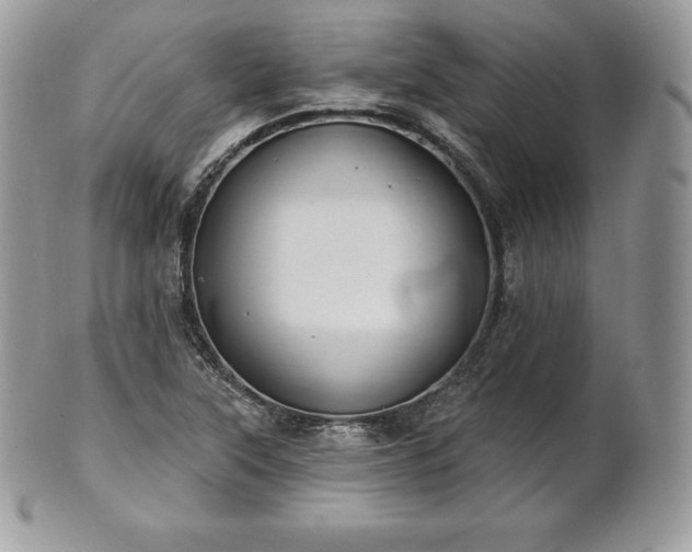 X0000101161315200807071148