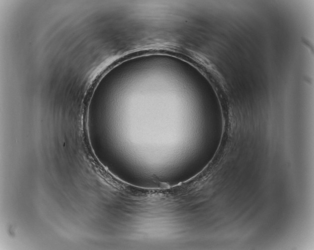 X0000101161316200807071148