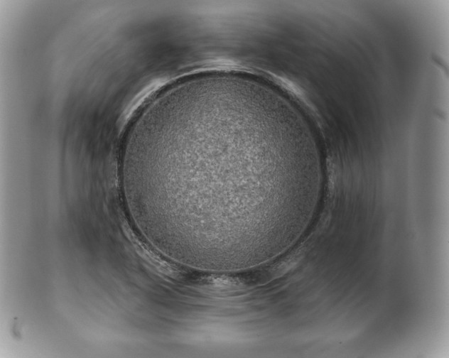 X0000101161318200807071148
