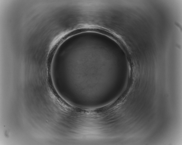 X0000101161319200807071148