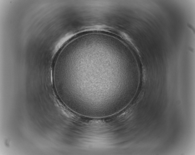 X0000101161320200807071148