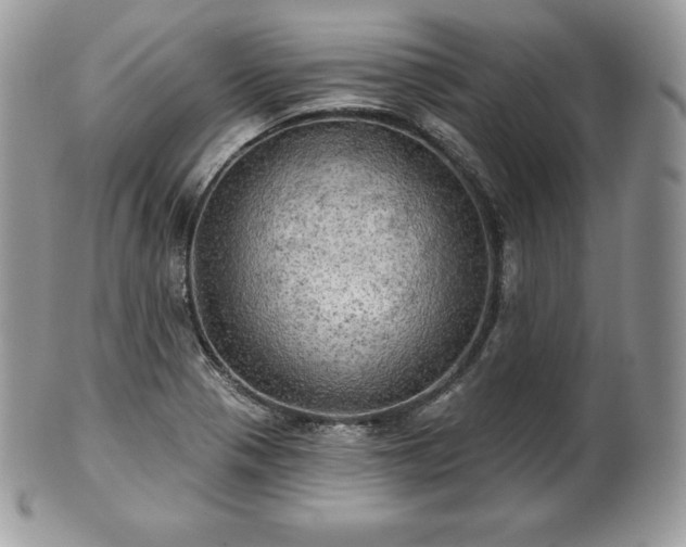 X0000101161321200807071148