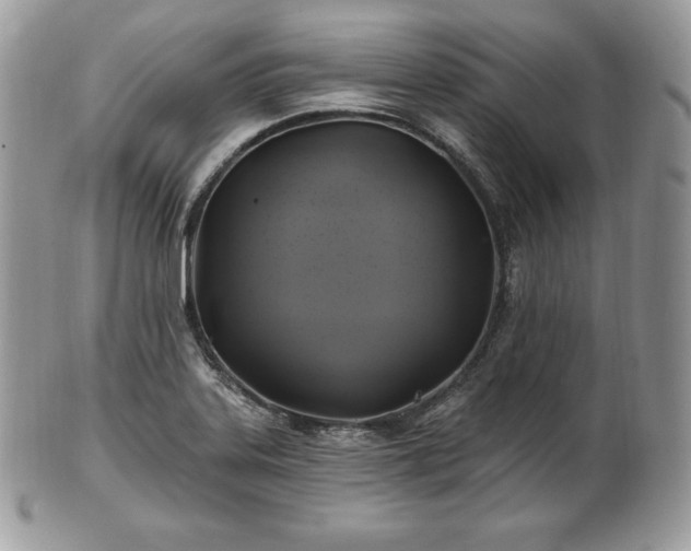 X0000101161323200807071148