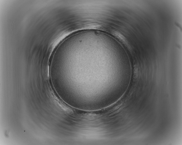 X0000101161324200807071148