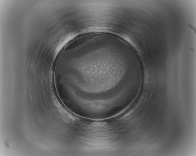 X0000101161325200807071148
