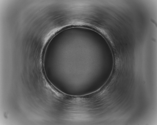 X0000101161327200807071148