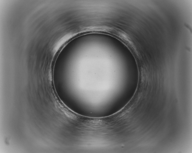 X0000101161328200807071148