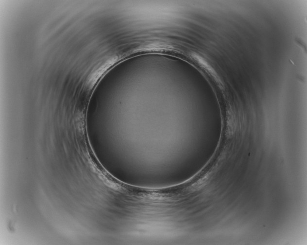 X0000101161329200807071148