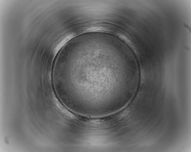 X0000101161330200807071148