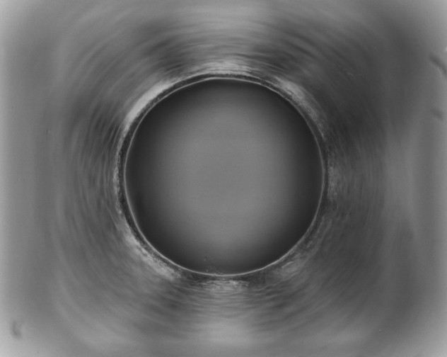 X0000101161331200807071148
