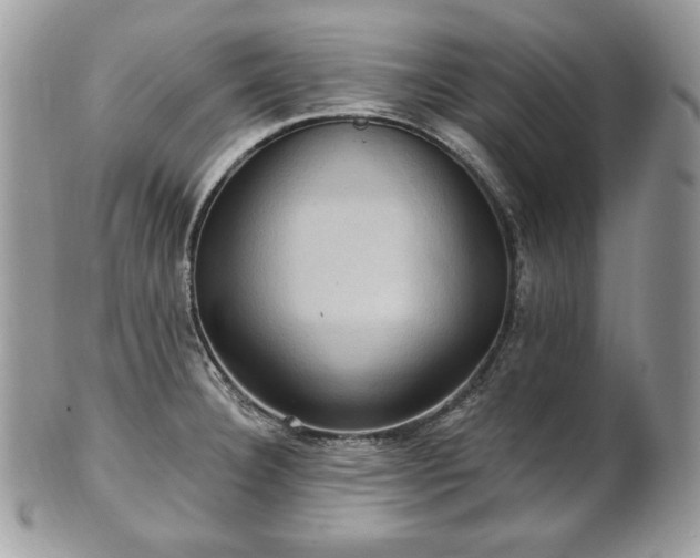 X0000101161332200807071148