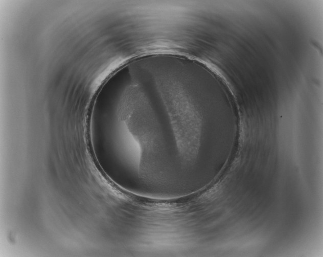 X0000101161333200807071148