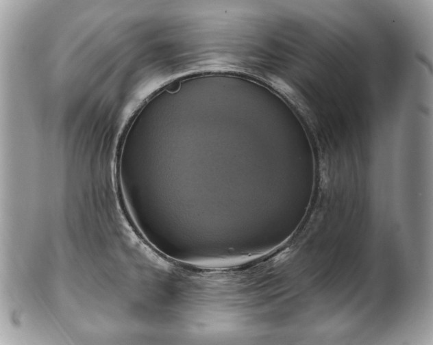 X0000101161334200807071148