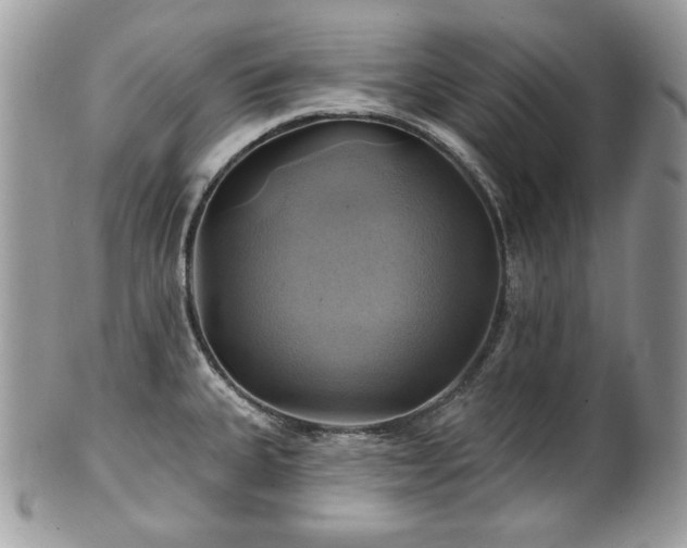 X0000101161335200807071148