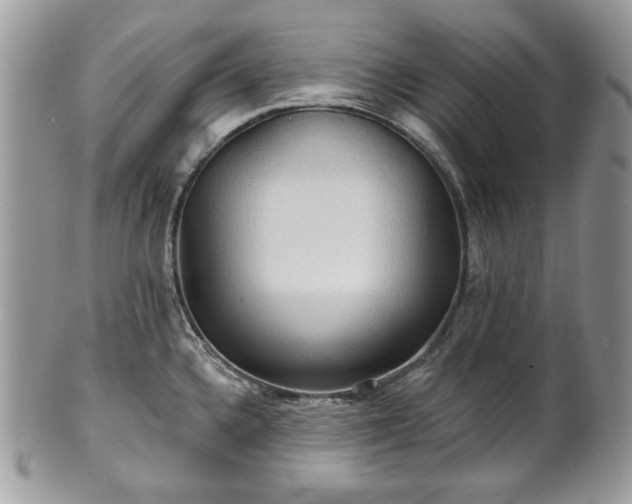 X0000101161336200807071148