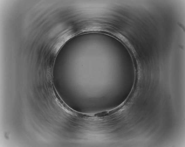 X0000101161337200807071148