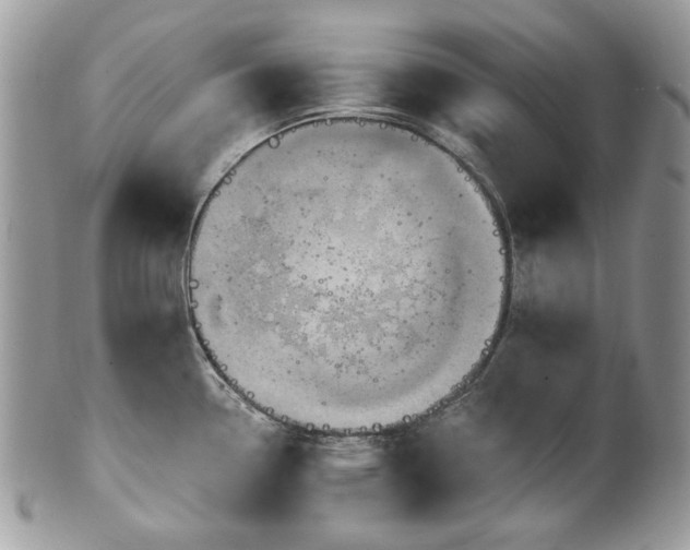 X0000101161338200807071148