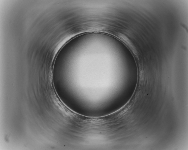 X0000101161340200807071148