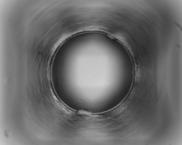 X0000101161342200807071148