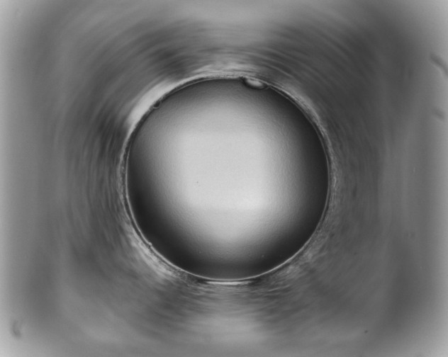 X0000101161344200807071149
