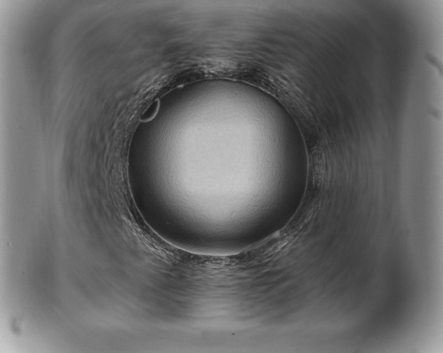 X0000101161345200807071148