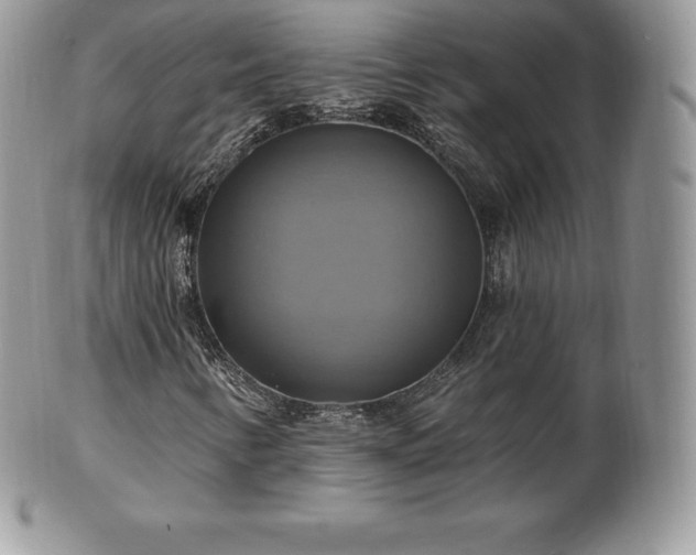 X0000101161346200807071148