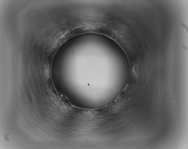 X0000101161348200807071148