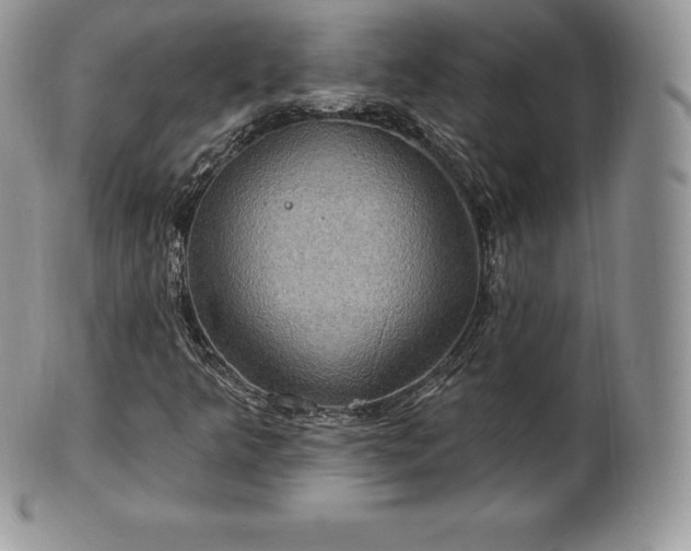 X0000101161349200807071148