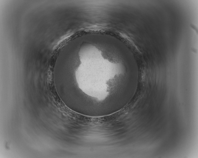 X0000101161350200807071148