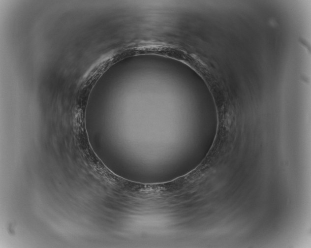 X0000101161351200807071148