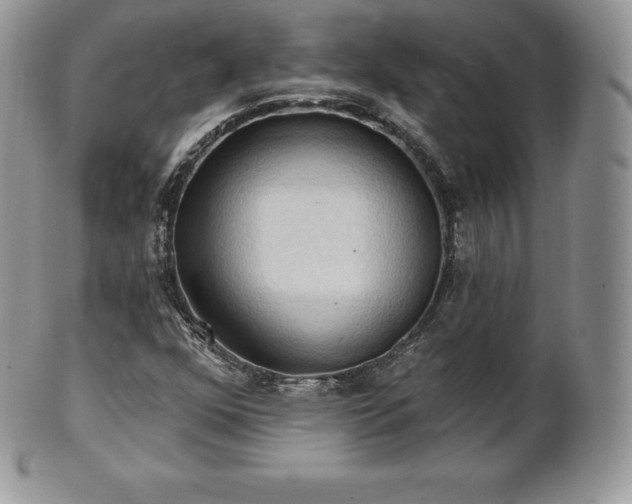 X0000101161352200807071148