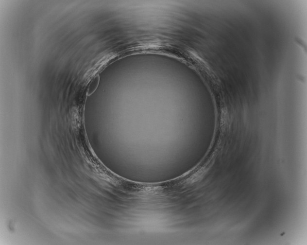 X0000101161353200807071148