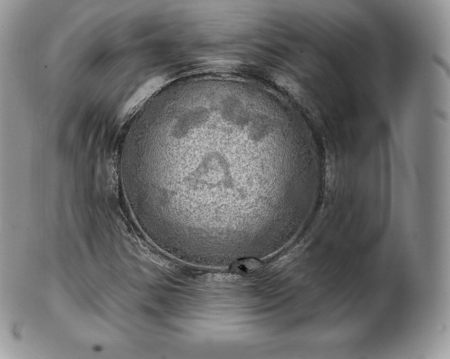 X0000101161354200807071148