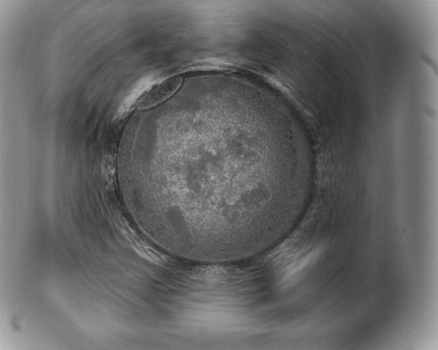 X0000101161355200807071148
