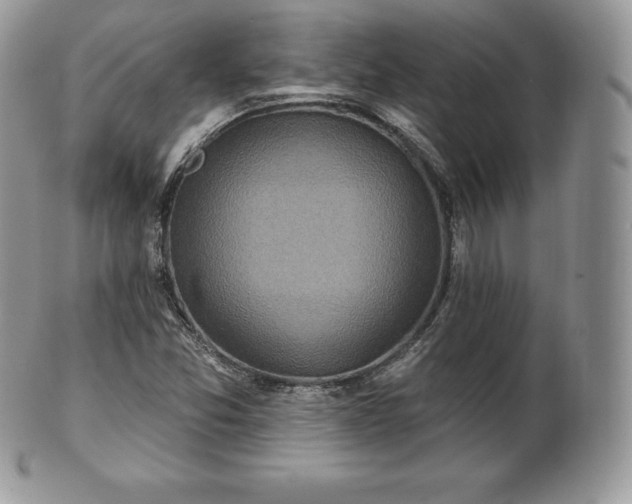 X0000101161357200807071148