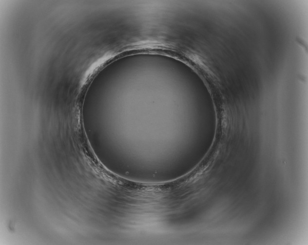 X0000101161358200807071148