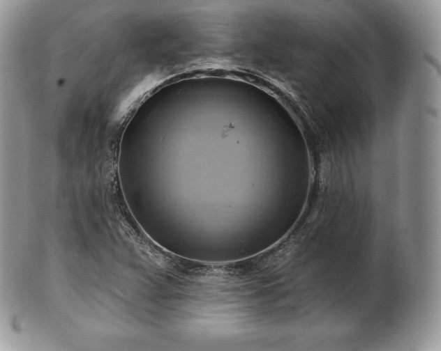 X0000101161359200807071148