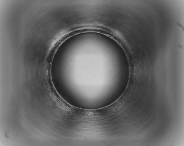 X0000101161360200807071148