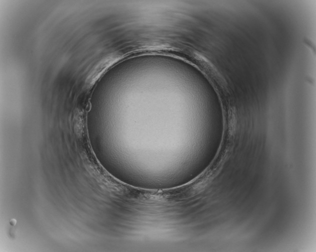 X0000101161361200807071148