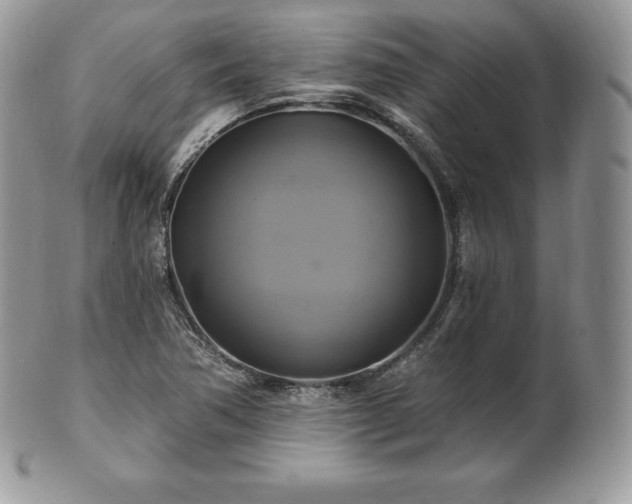 X0000101161362200807071148