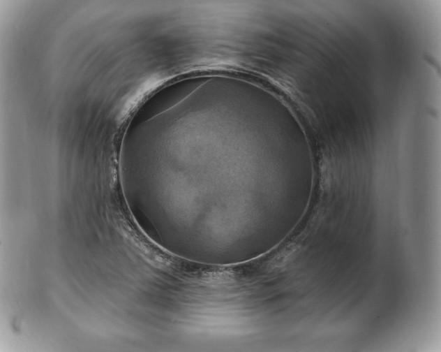 X0000101161363200807071148