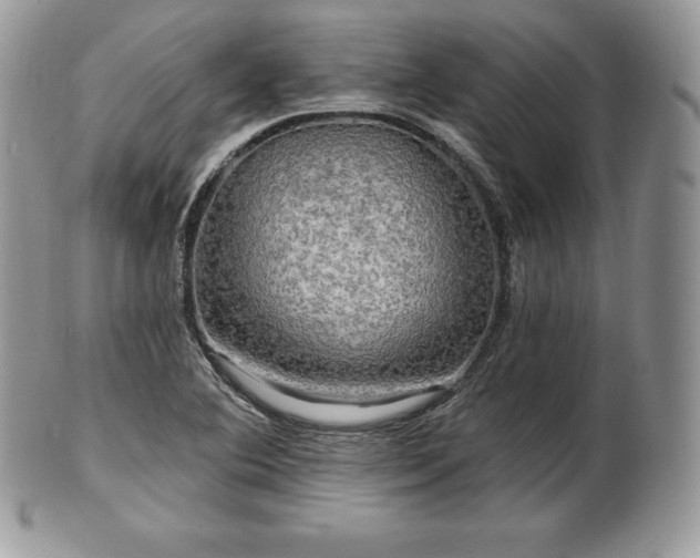 X0000101161364200807071148