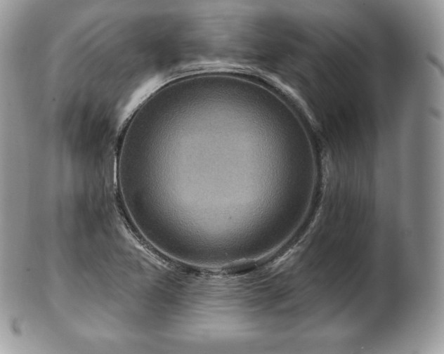 X0000101161365200807071148